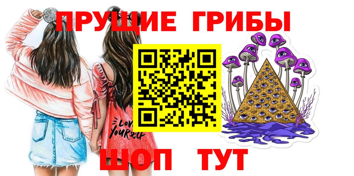Псилоцибиновые грибы Psilocybe Лениногорск