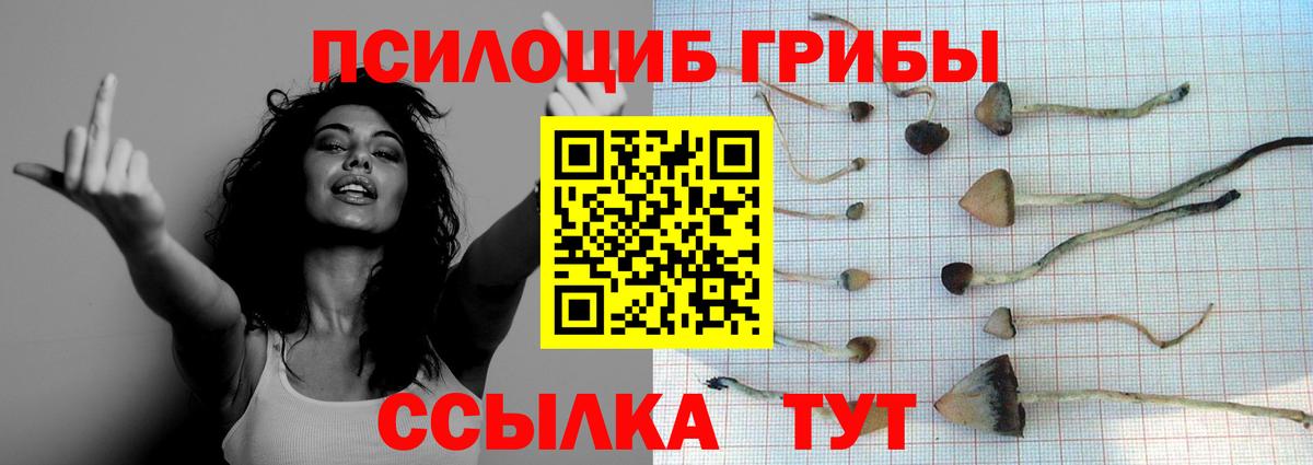 Лениногорск  Псилоцибиновые грибы MAGIC MUSHROOMS  Вход с VPN 